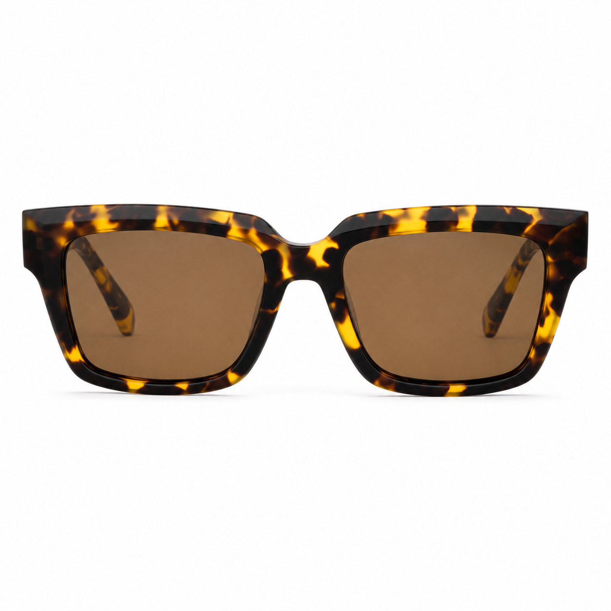 Sunglasses FG1645T