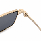 Sunglasses YD1401