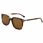 Sunglasses YD1491T