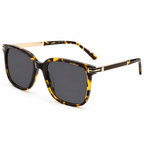 Sunglasses YD1491T